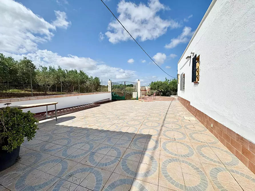 Immagine 4 di Villa in vendita  in Contrada Bosco Falconeria SNC a Partinico