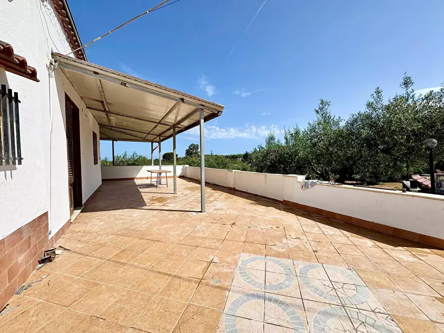 Immagine 6 di Villa in vendita  in Contrada Bosco Falconeria SNC a Partinico