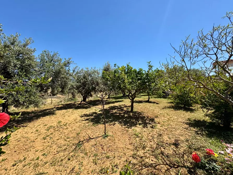 Immagine 22 di Villa in vendita  in Contrada Colonna snc a Capaci