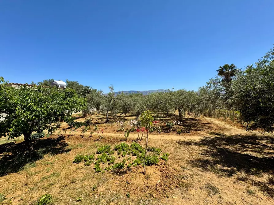 Immagine 28 di Villa in vendita  in Contrada Colonna snc a Capaci