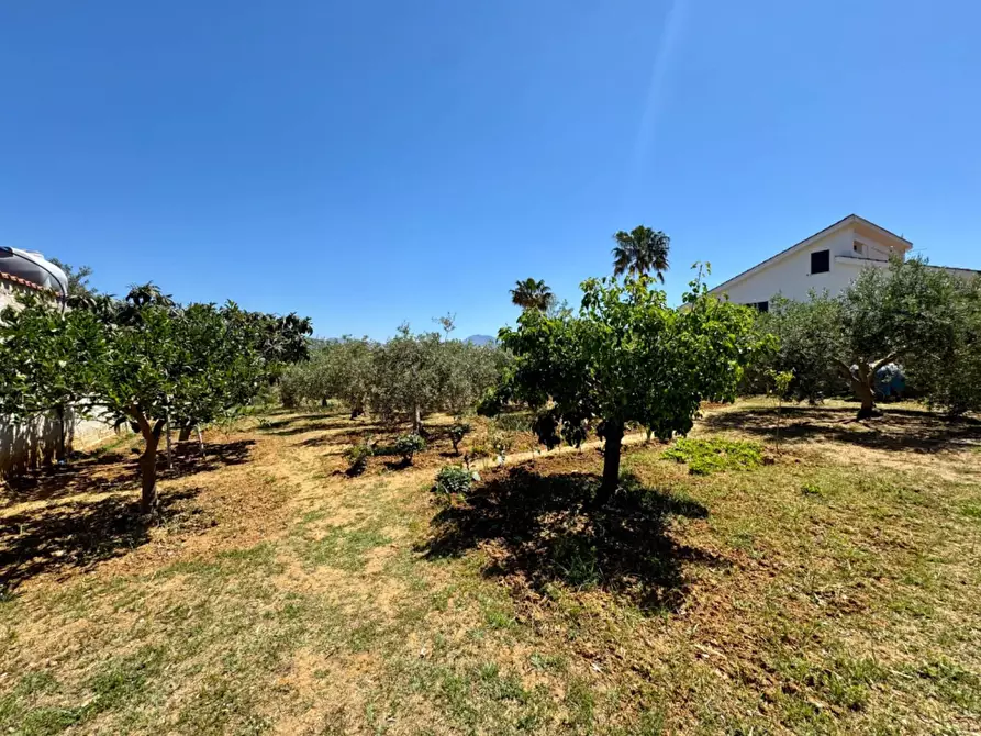 Immagine 31 di Villa in vendita  in Contrada Colonna snc a Capaci