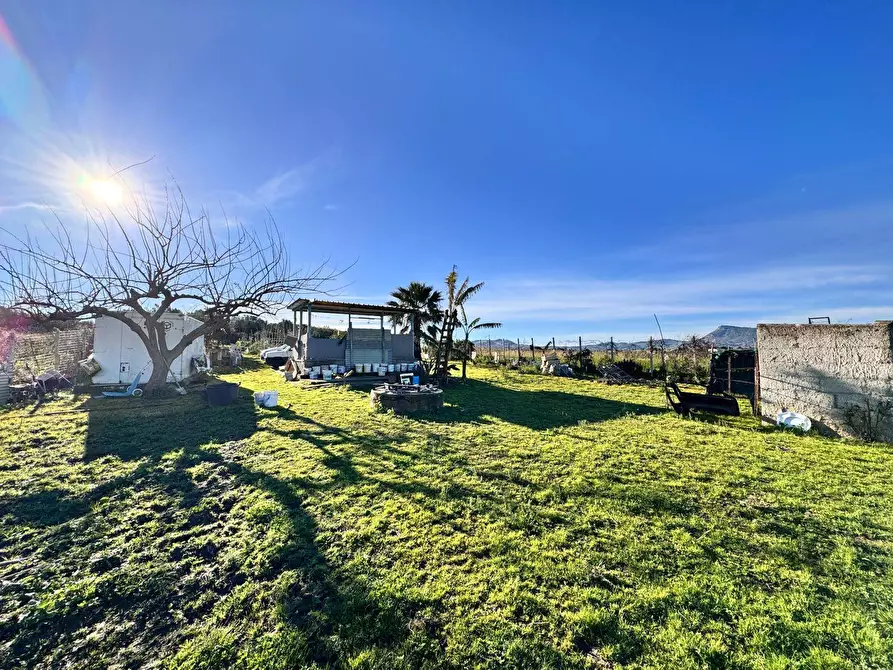 Immagine 3 di Terreno agricolo in vendita  a Partinico
