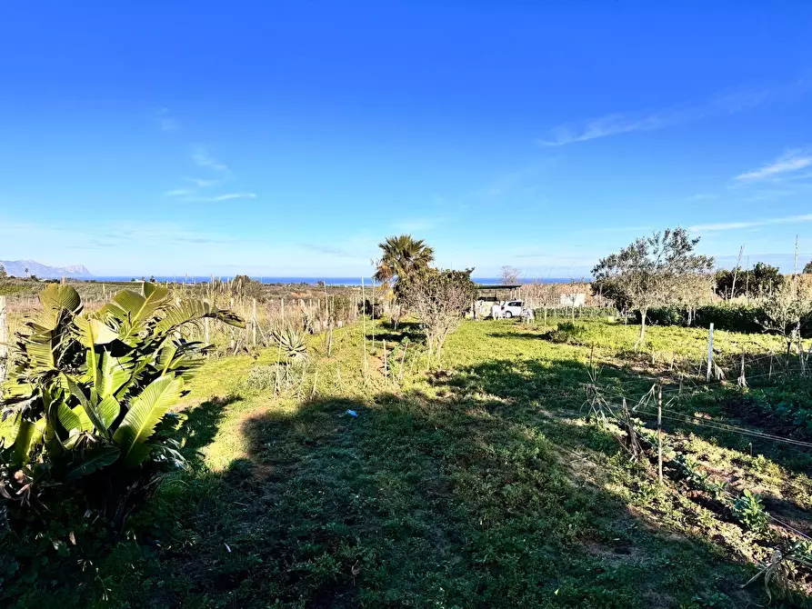Immagine 7 di Terreno agricolo in vendita  a Partinico