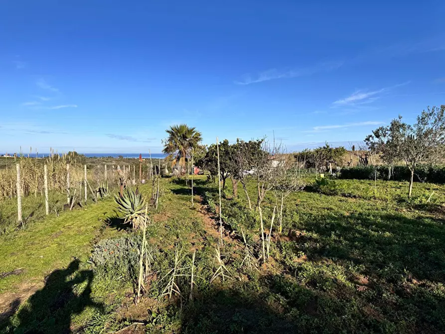 Immagine 9 di Terreno agricolo in vendita  a Partinico
