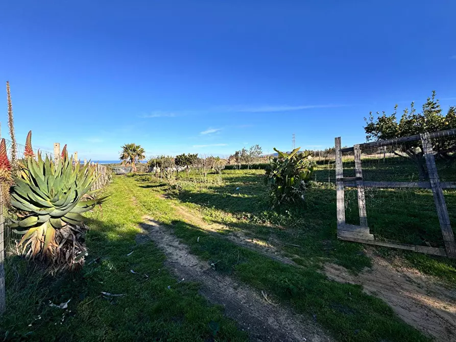Immagine 10 di Terreno agricolo in vendita  a Partinico