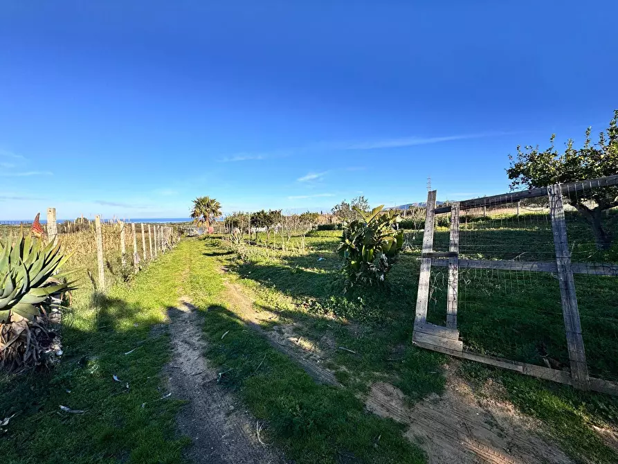 Immagine 11 di Terreno agricolo in vendita  a Partinico