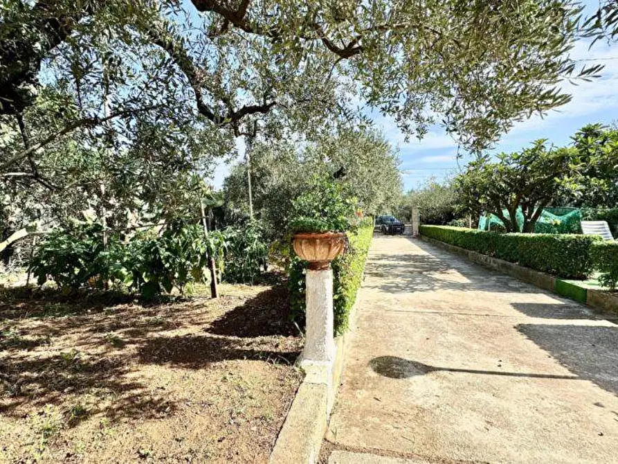 Immagine 23 di Villa in vendita  in Contrada Milioto sic a Partinico