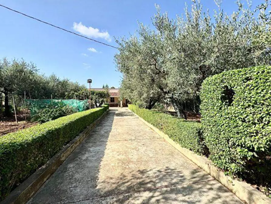 Immagine 33 di Villa in vendita  in Contrada Milioto sic a Partinico