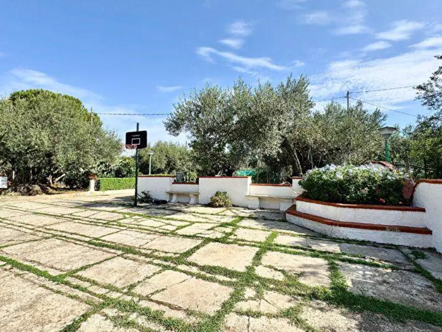 Immagine 4 di Villa in vendita  in Contrada Milioto sic a Partinico