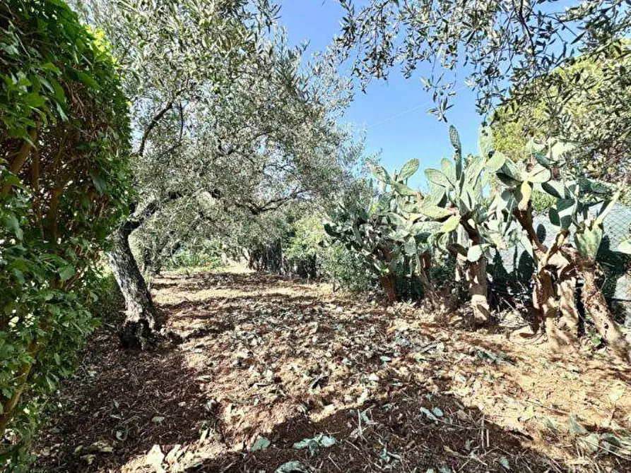 Immagine 30 di Villa in vendita  in Contrada Milioto sic a Partinico