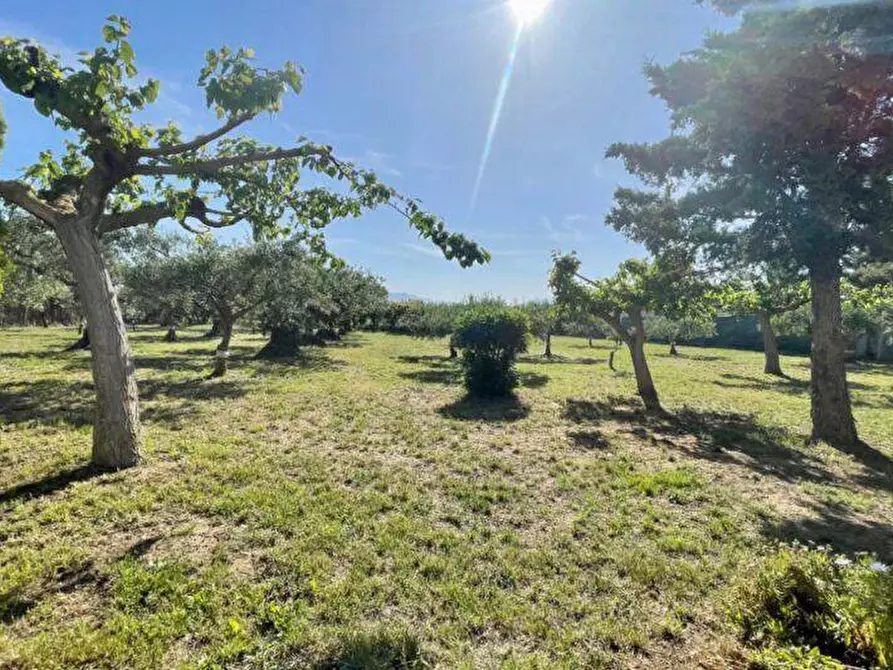 Immagine 25 di Villa in vendita  in M. S. S. Del Ponte, SP63 a Partinico