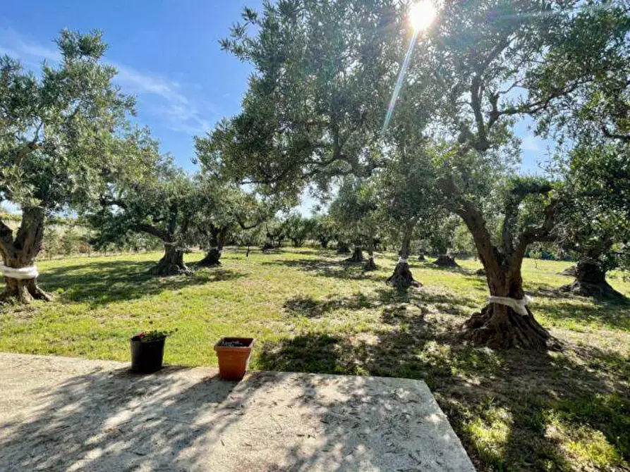 Immagine 30 di Villa in vendita  in M. S. S. Del Ponte, SP63 a Partinico