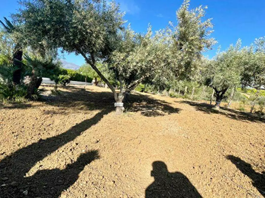 Immagine 37 di Villa in vendita  in M. S. S. Del Ponte, SP63 a Partinico