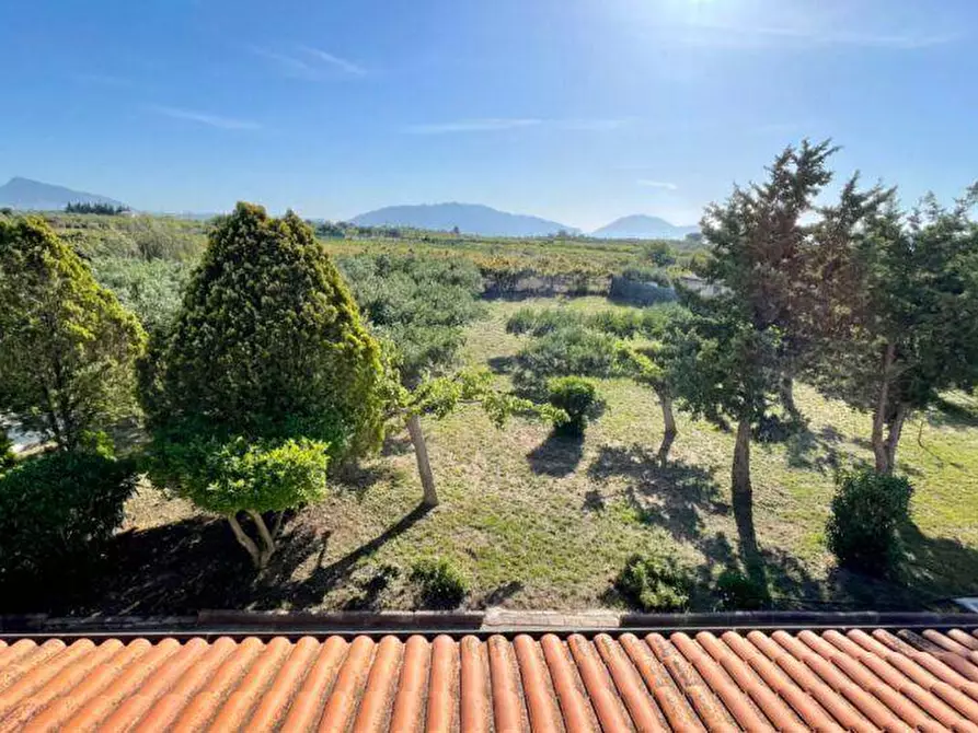 Immagine 39 di Villa in vendita  in M. S. S. Del Ponte, SP63 a Partinico