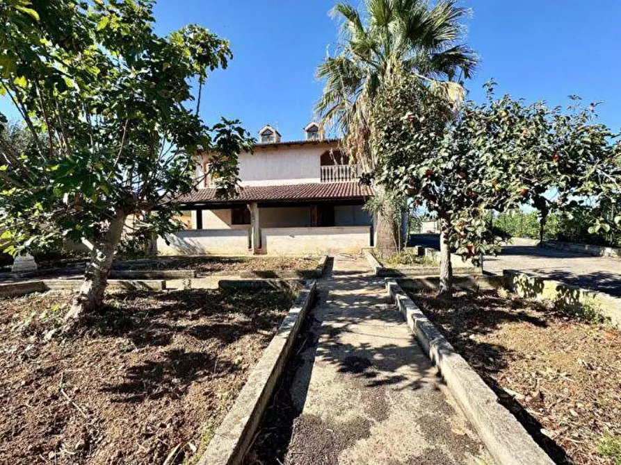 Immagine 4 di Villa in vendita  in Contrada Cicala SNC a Capaci