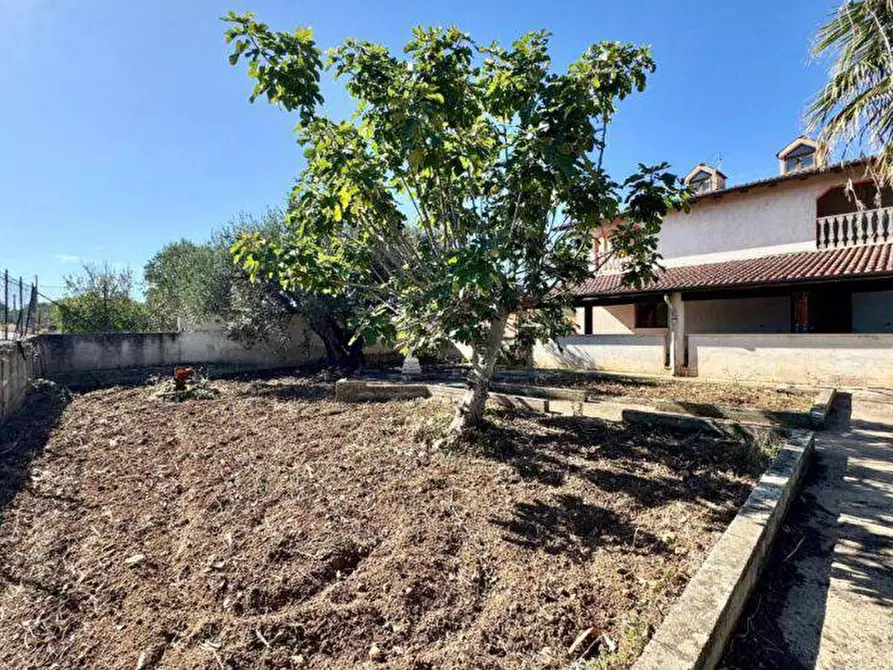 Immagine 6 di Villa in vendita  in Contrada Cicala SNC a Capaci