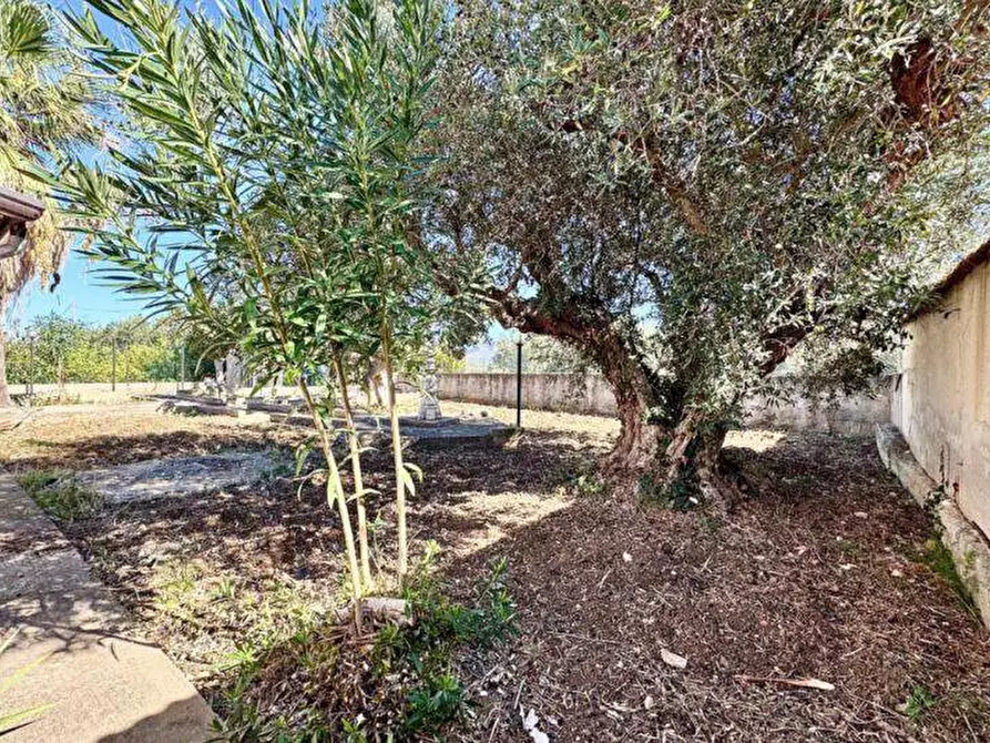 Immagine 8 di Villa in vendita  in Contrada Cicala SNC a Capaci