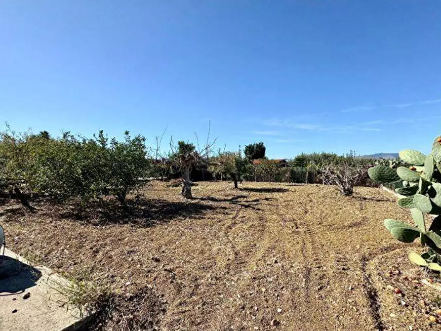 Immagine 9 di Villa in vendita  in Contrada Cicala SNC a Capaci