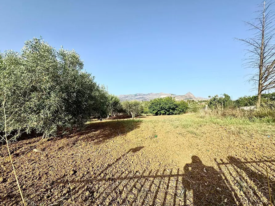 Immagine 16 di Villa in vendita  in Provinciale 122 a Partinico