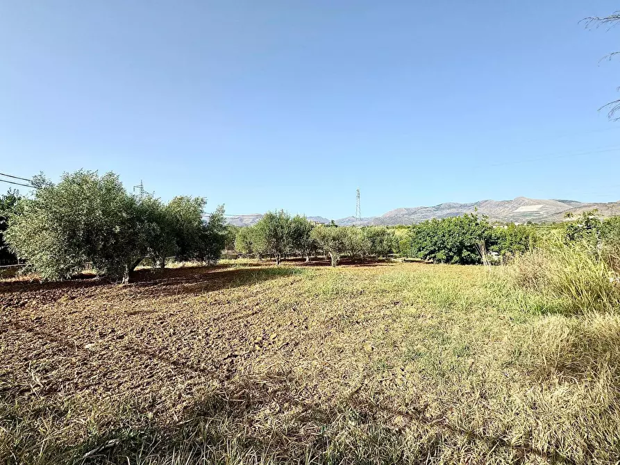 Immagine 17 di Villa in vendita  in Provinciale 122 a Partinico