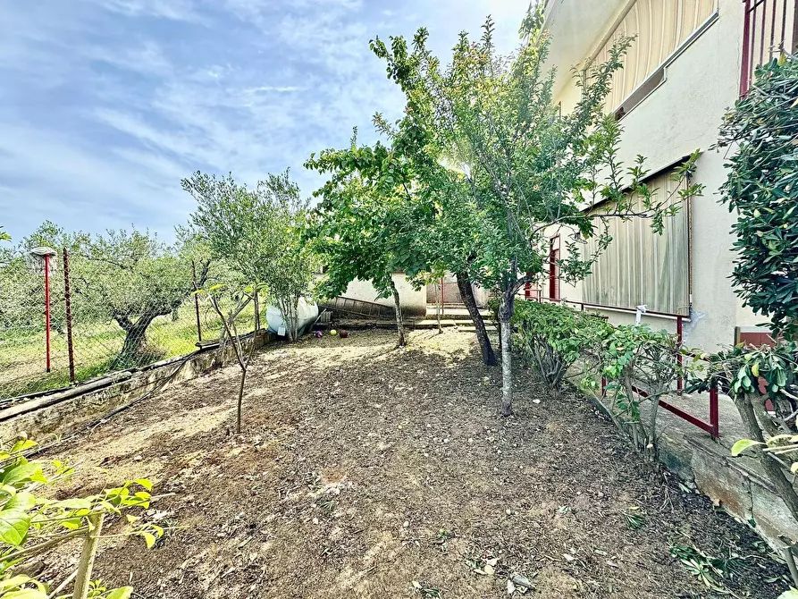 Immagine 22 di Casa semindipendente in vendita  in Bosco Falconeria a Partinico