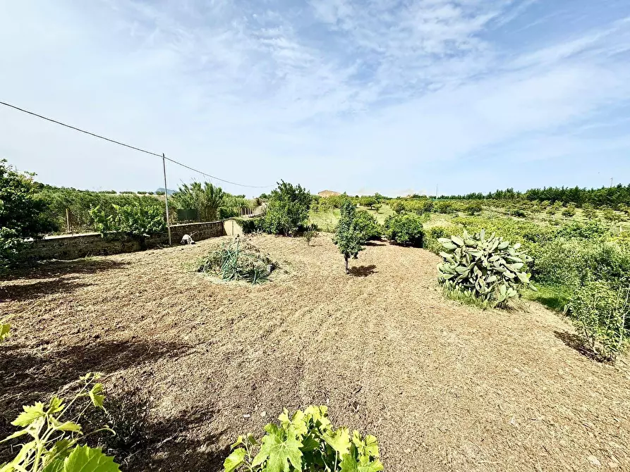 Immagine 25 di Casa semindipendente in vendita  in Bosco Falconeria a Partinico