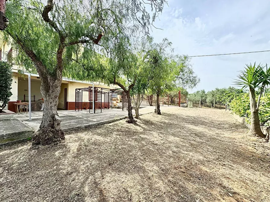 Immagine 21 di Casa semindipendente in vendita  in Bosco Falconeria a Partinico