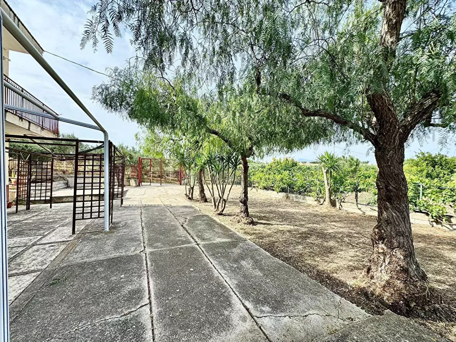 Immagine 19 di Casa semindipendente in vendita  in Bosco Falconeria a Partinico