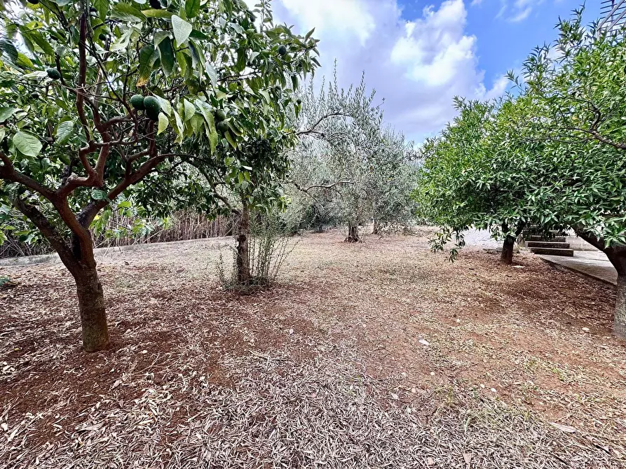 Immagine 4 di Casa indipendente in vendita  a Borgetto