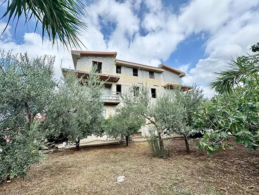 Immagine 2 di Casa indipendente in vendita  a Borgetto