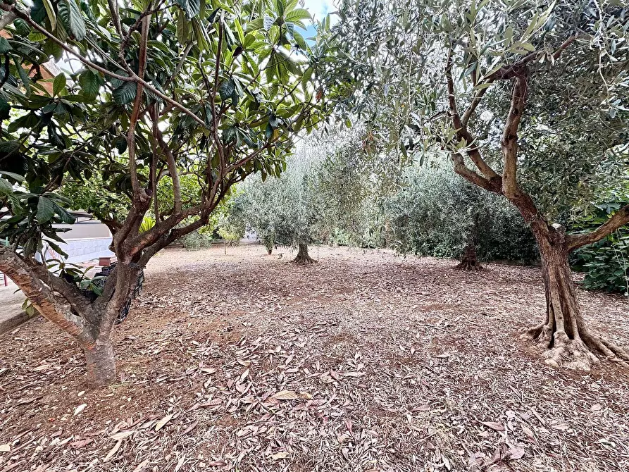 Immagine 10 di Casa indipendente in vendita  a Borgetto