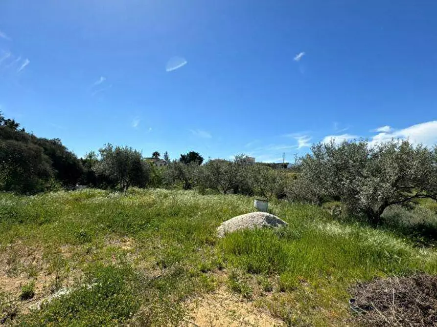 Immagine 6 di Terreno agricolo in vendita  a Balestrate