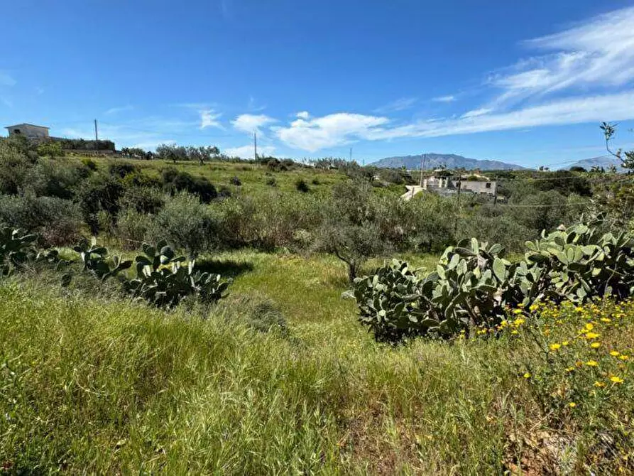 Immagine 7 di Terreno agricolo in vendita  a Balestrate