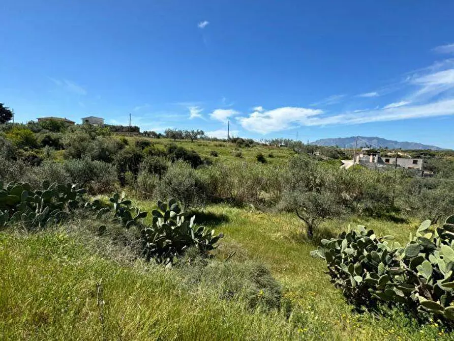 Immagine 9 di Terreno agricolo in vendita  a Balestrate