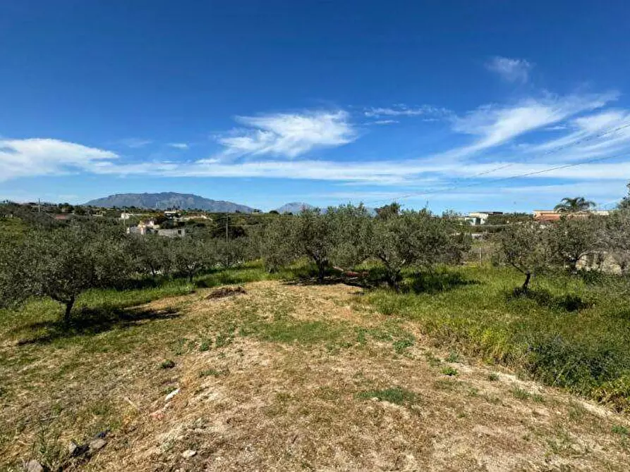 Immagine 11 di Terreno agricolo in vendita  a Balestrate
