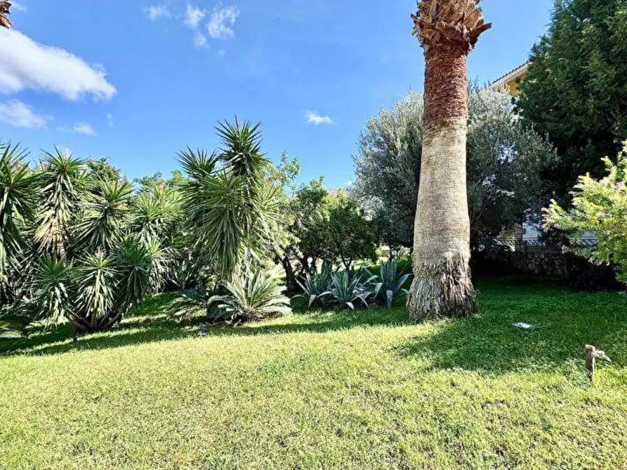 Immagine 28 di Casa semindipendente in vendita  in Contrada Ramo a Partinico