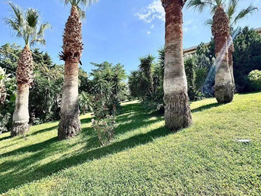 Immagine 29 di Casa semindipendente in vendita  in Contrada Ramo a Partinico