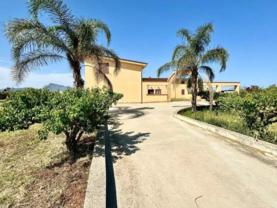 Immagine 3 di Villa in vendita  in Bosco Falconeria a Partinico