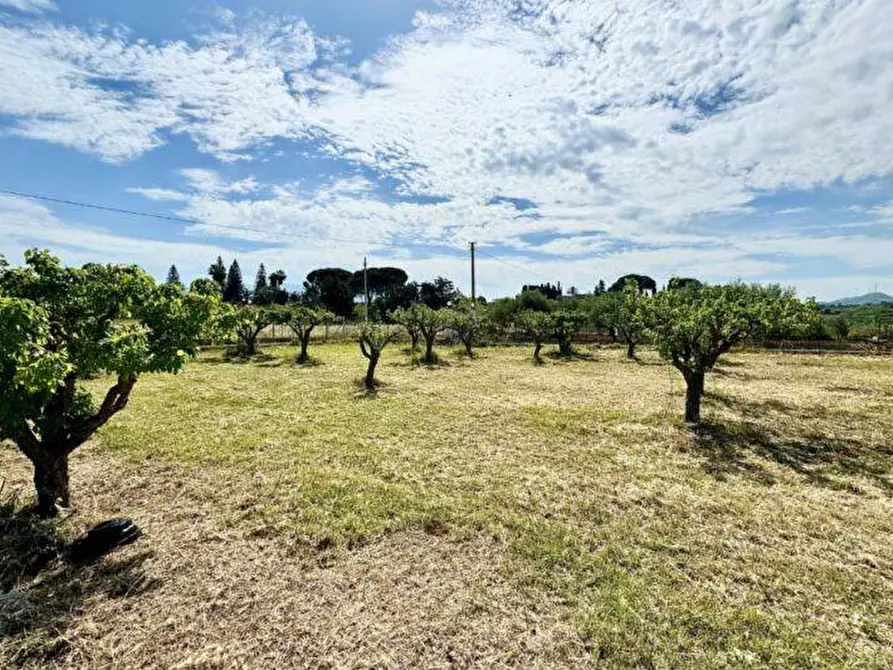 Immagine 9 di Villa in vendita  in Bosco Falconeria a Partinico