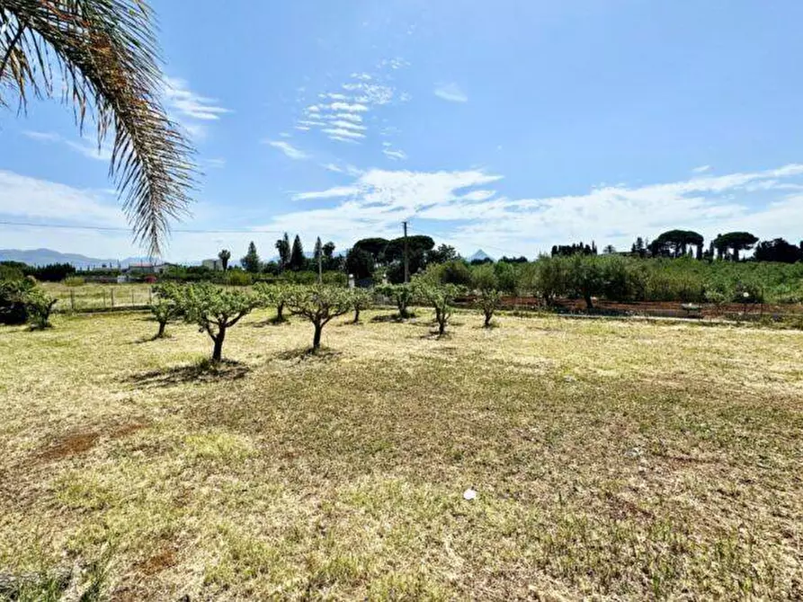 Immagine 27 di Villa in vendita  in Bosco Falconeria a Partinico