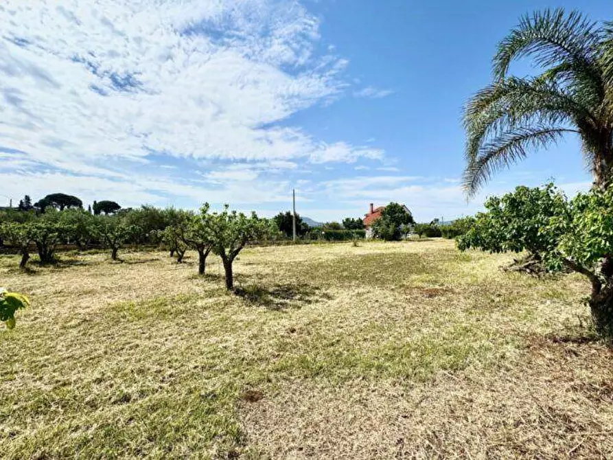 Immagine 28 di Villa in vendita  in Bosco Falconeria a Partinico