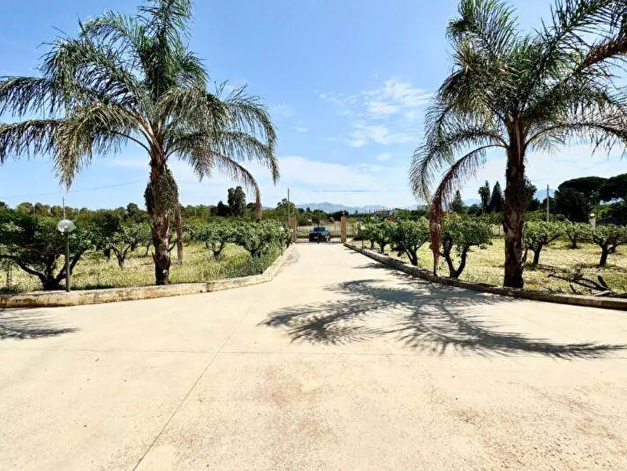 Immagine 34 di Villa in vendita  in Bosco Falconeria a Partinico