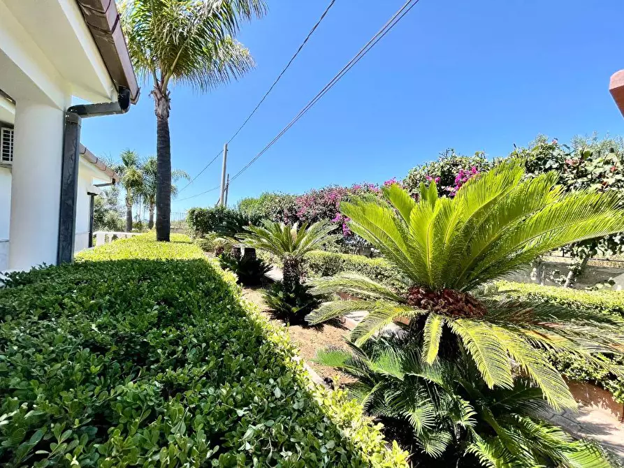 Immagine 6 di Villa in vendita  in Contrada Settepani a Balestrate