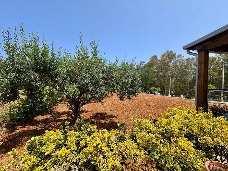 Immagine 23 di Villa in affitto  in Contrada Sicciarotta a Balestrate