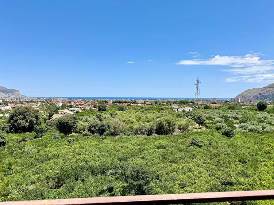 Immagine 8 di Appartamento in vendita  in Via San Benedetto Il Moro 14 a Palermo