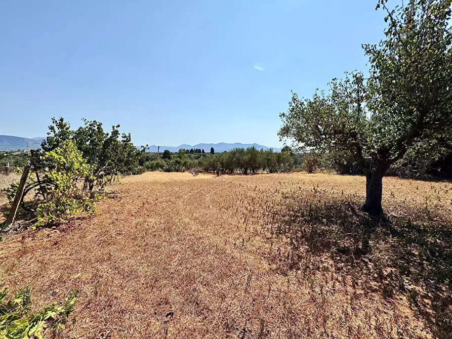 Immagine 23 di Villa in vendita  in Contrada Piano Di Tresca a Balestrate