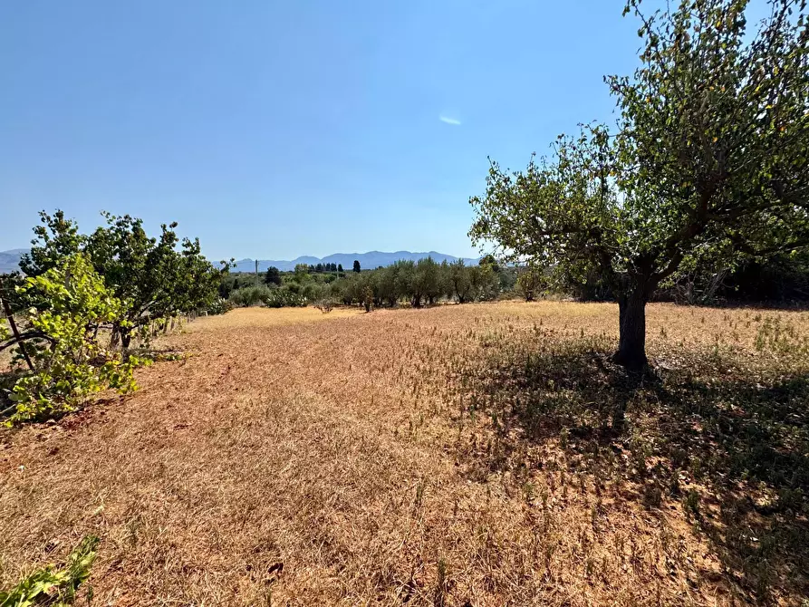 Immagine 24 di Villa in vendita  in Contrada Piano Di Tresca a Balestrate