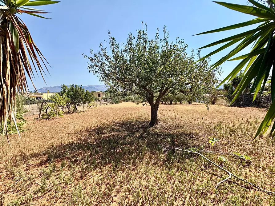 Immagine 25 di Villa in vendita  in Contrada Piano Di Tresca a Balestrate