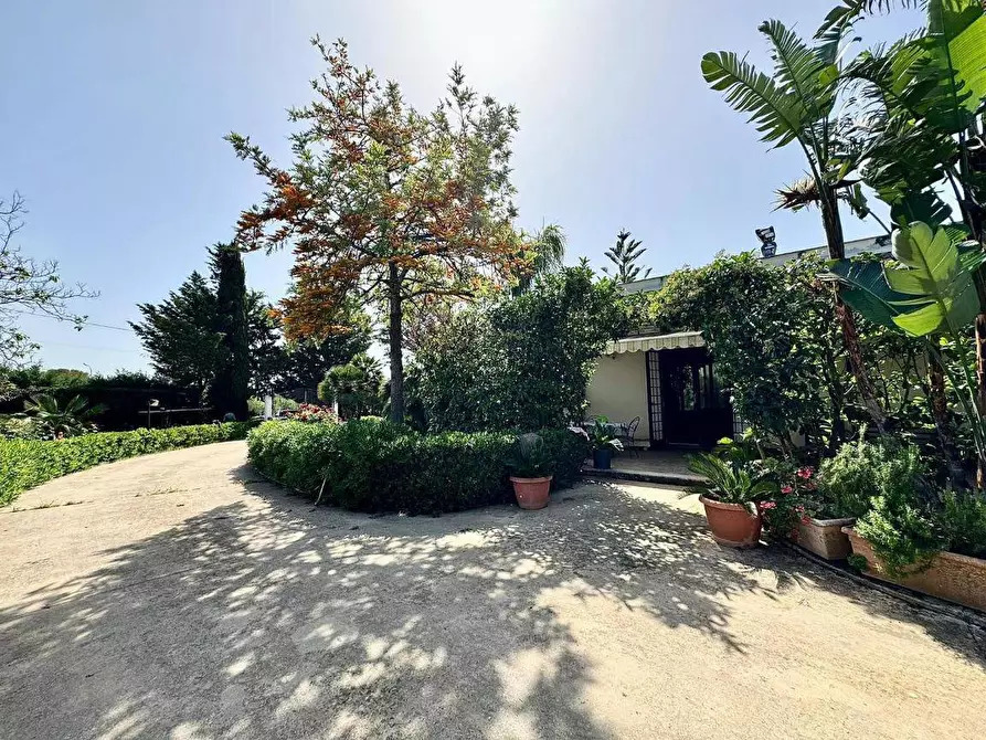 Immagine 34 di Villa in vendita  in Contrada Tobia SNC a Partinico