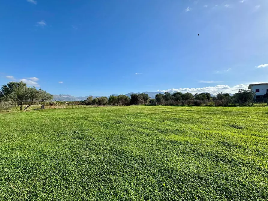 Immagine 17 di Villa in vendita  in Trappeto snc a Capaci
